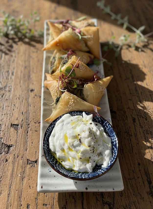 greekladyfoods greek treats