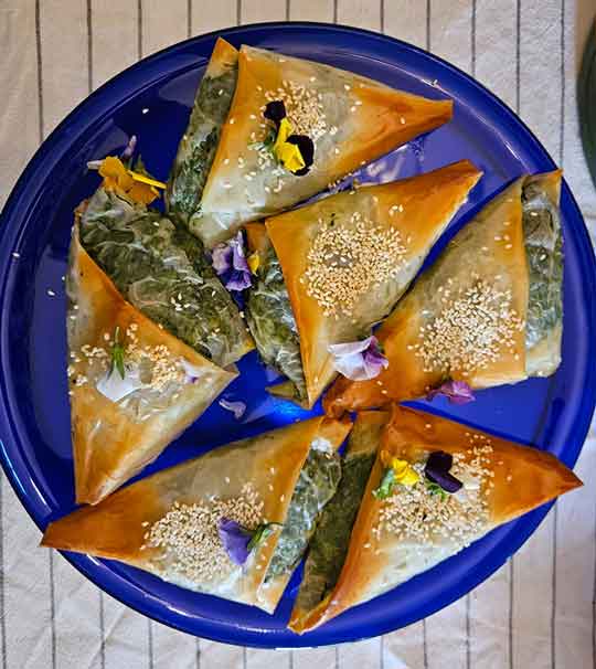 greekladyfoods foodcart and catering for functions 02